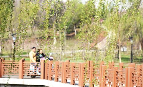 五版32300216.JPG 五版32300216.JPG