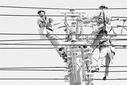 二版232更换悬瓶.JPG 二版232更换悬瓶.JPG