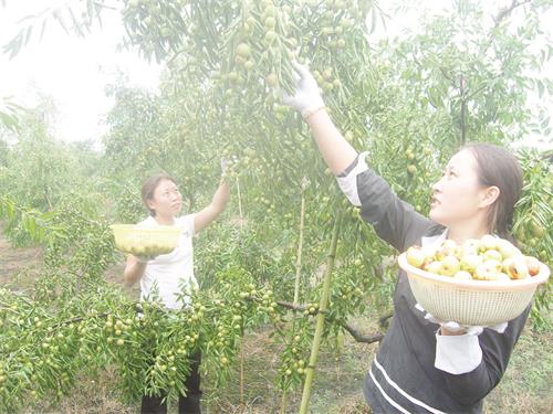 42300081三版.jpg 42300081三版.jpg