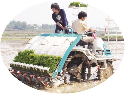 42300084三版.JPG 42300084三版.JPG