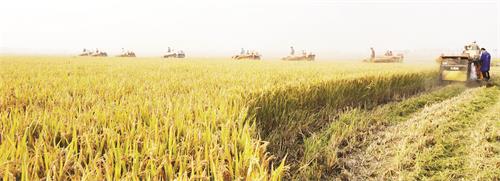 42300085三版.jpg 42300085三版.jpg