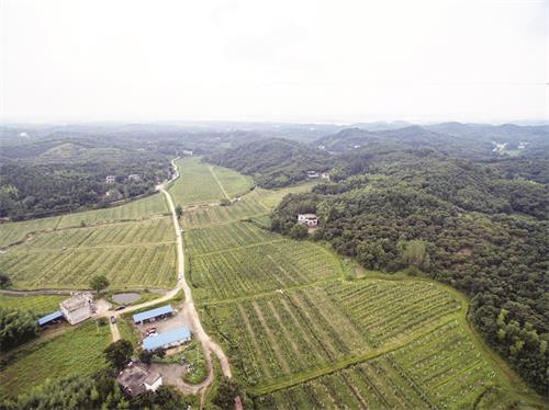 三版42400191.jpg.jpg 三版42400191.jpg.jpg