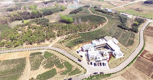 三版DJI_0004.jpg 三版DJI_0004.jpg