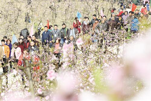 三版TKP_9531.JPG 三版TKP_9531.JPG