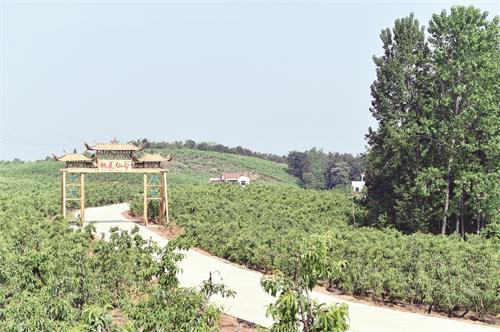 三版裕安区狮子岗乡桃花仙谷.JPG 三版裕安区狮子岗乡桃花仙谷.JPG