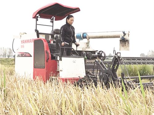 7日五版3.jpg 7日五版3.jpg