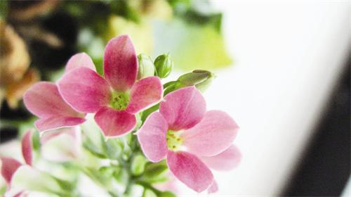 八版53100079.jpg 八版53100079.jpg