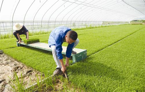 一60700155.jpg 一60700155.jpg