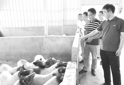 徐50324.jpg 徐50324.jpg