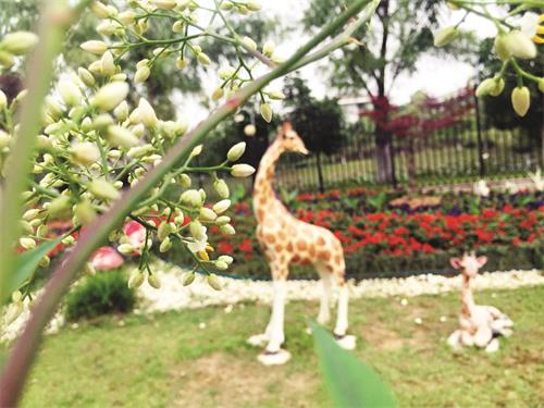 五版 0180624152853.jpg