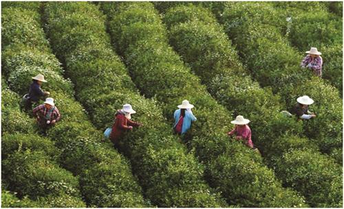 五的70500280.jpg 五的70500280.jpg