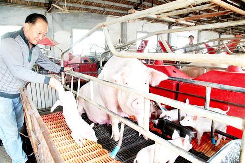 13日五版2.JPG 13日五版2.JPG