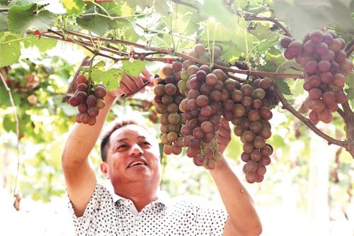 13日五版3.JPG 13日五版3.JPG