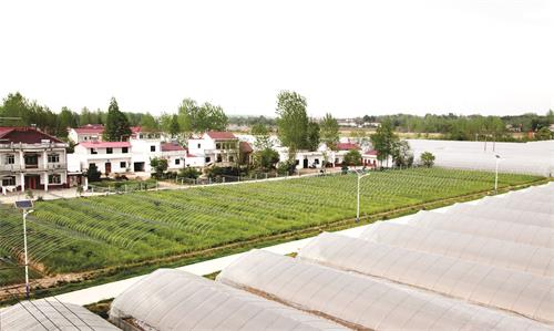 13日五版4.JPG 13日五版4.JPG