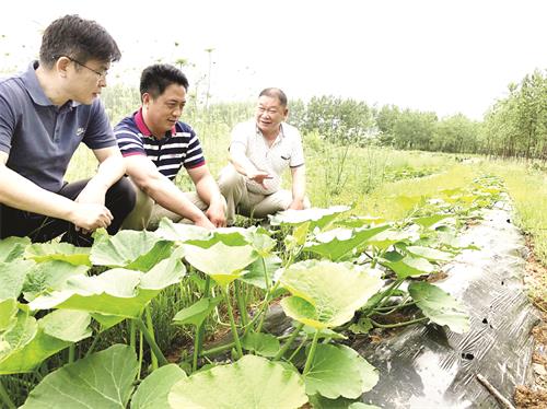 13日五版5.jpg 13日五版5.jpg