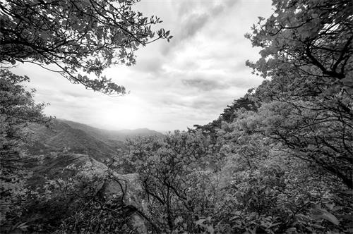 七的111.jpg 七的111.jpg