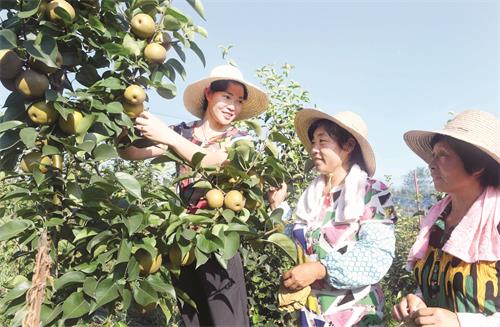 一的1781.JPG