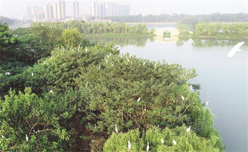 一版DJI_0067.JPG 一版DJI_0067.JPG