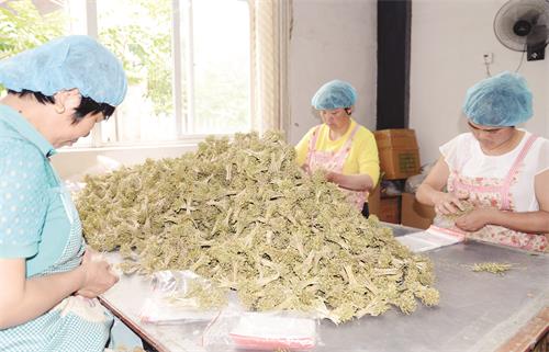 80700264五版6.jpg 80700264五版6.jpg