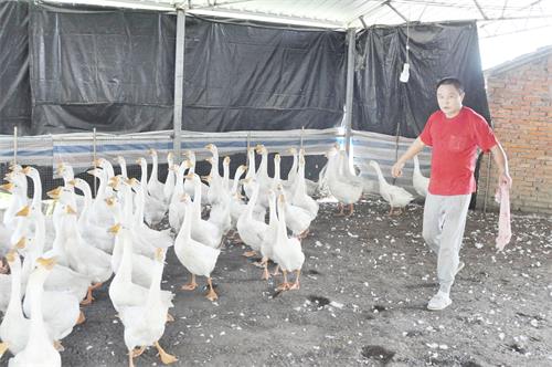 90500252五版1.jpg 90500252五版1.jpg