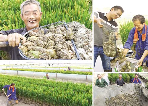 10日一版1.jpg 10日一版1.jpg