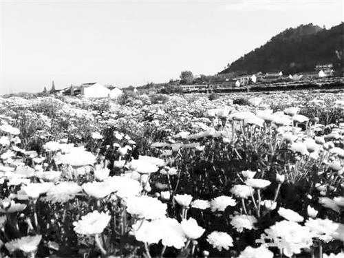 三版44633783612142.jpg 三版44633783612142.jpg