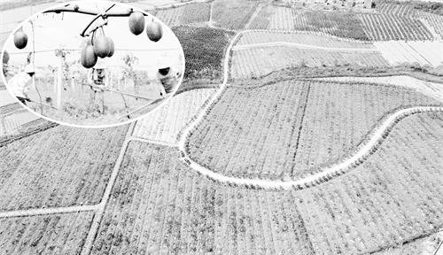 二版IMG_6821-1.jpg 二版IMG_6821-1.jpg