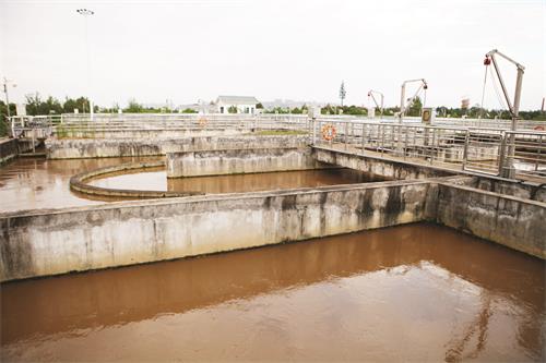 22周刊一版12.JPG 22周刊一版12.JPG