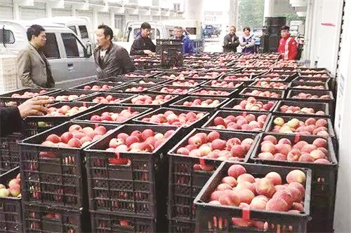 孙岗镇特刊.jpg 孙岗镇特刊.jpg