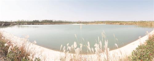 桃花岛.jpg 桃花岛.jpg