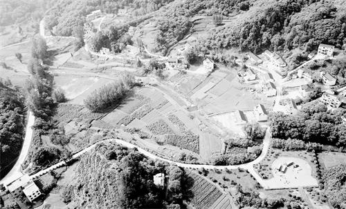 三版A2400227.JPG 三版A2400227.JPG