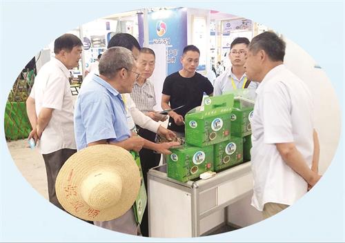 五的25180808.jpg 五的25180808.jpg