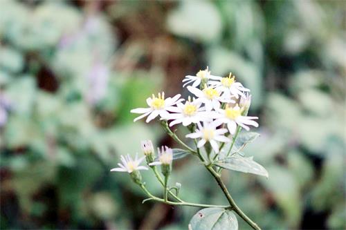 2日八版2.jpg 2日八版2.jpg