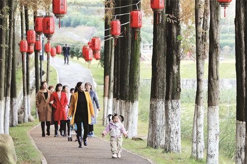 Z025 淮北日报 万善朝  茶园游客.jpg