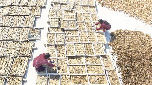 一版0_IMG_0783.JPG 一版0_IMG_0783.JPG