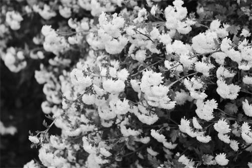 七版20181206102700.jpg 七版20181206102700.jpg