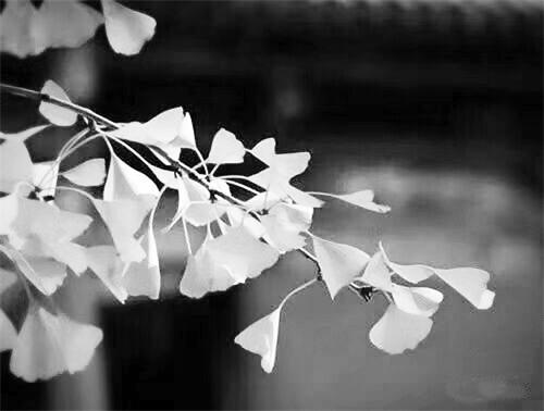 七版20151334.jpg 七版20151334.jpg