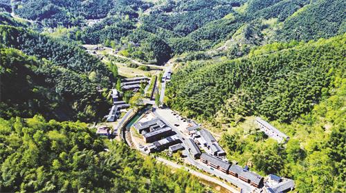 画家村全景1.jpg 画家村全景1.jpg