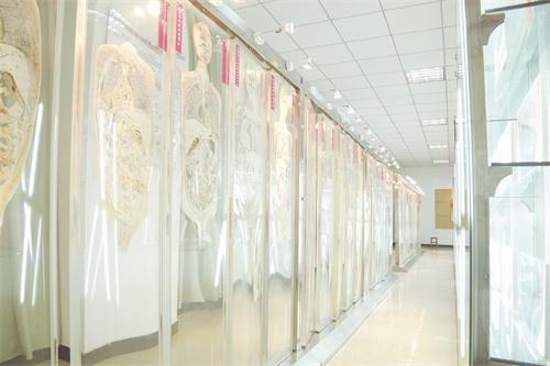 卫校揭破9095.jpg 卫校揭破9095.jpg