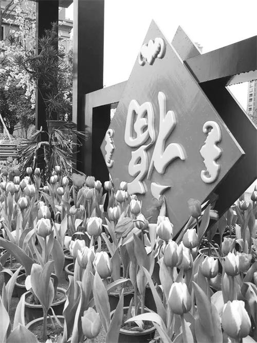 七版IMG_0175_2562234.jpg