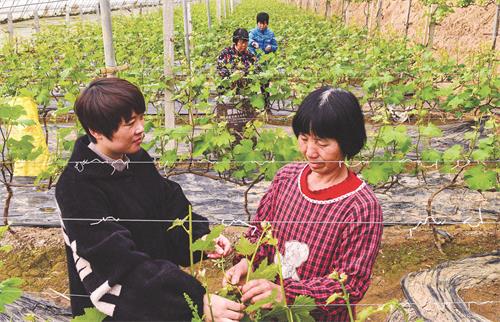 四22600233.JPG
