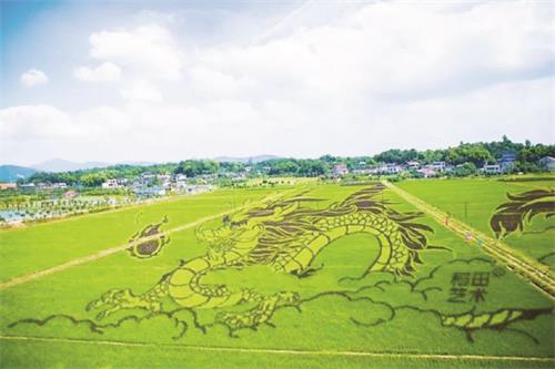 八版五福村.jpg 八版五福村.jpg