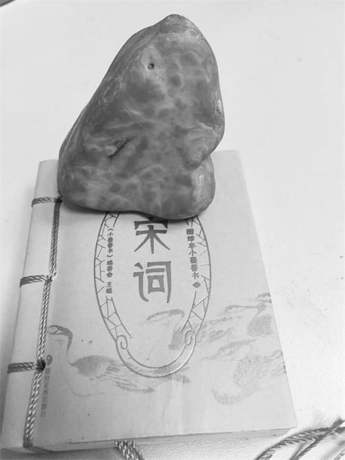 六版8144423.jpg