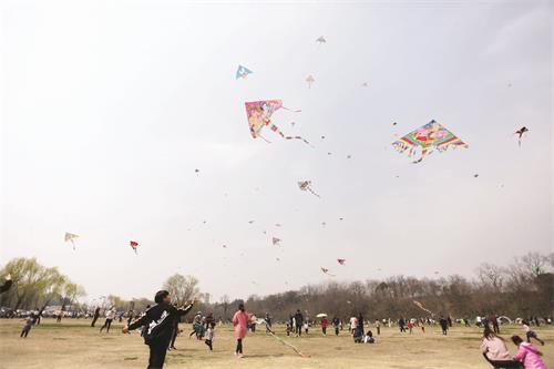 31700372四版1.JPG