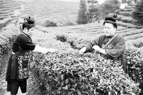 二版31700346.JPG
