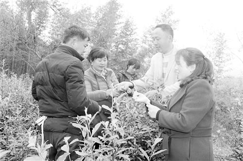六的32700272.jpg 六的32700272.jpg