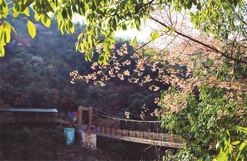 燕子河.jpg