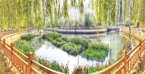 五版IMG_8976.jpg 五版IMG_8976.jpg
