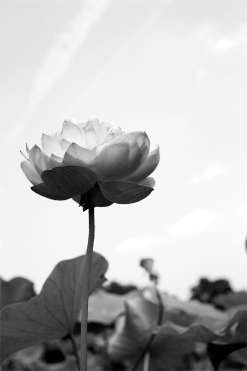 23日六版222.jpg 23日六版222.jpg