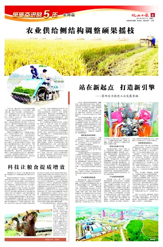 2017年10月11日6版